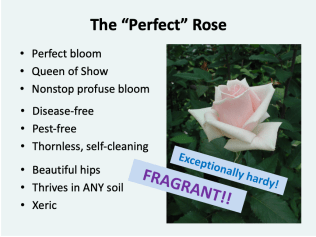 Screen Shot 2019-06-11 at 6.29.57 PM