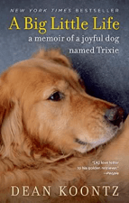 Screen Shot 2020-03-30 at 9.48.24 AM