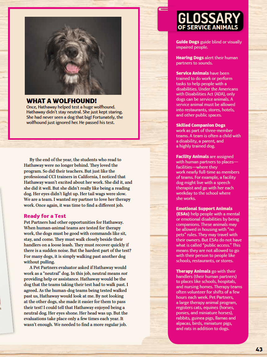 Screen Shot 2020-08-11 at 4.10.08 PM