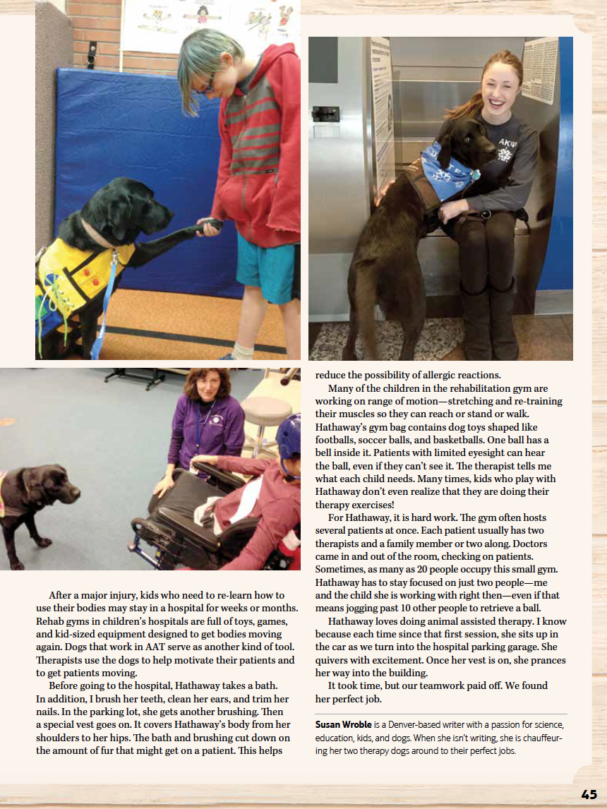 Screen Shot 2020-08-11 at 4.10.31 PM